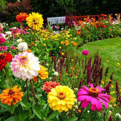 Landscaped Parks